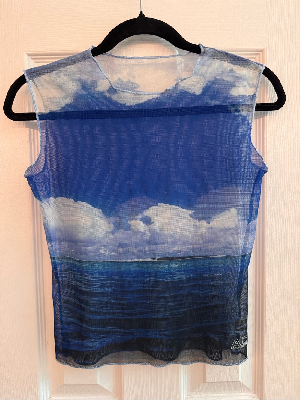 AARON CHANG Vintage Y2k Beach Sheer Sleeveless Mesh Swim Top/Coverup Small